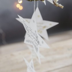 WEIHNACHTSZAUBER Kette Stern gold L:55cm